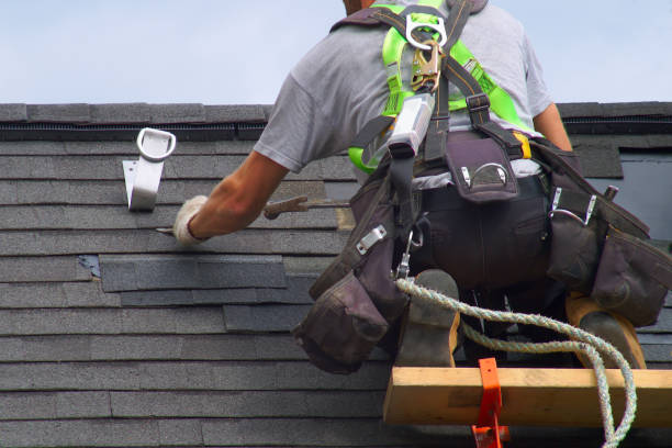 Best Roof Maintenance Services  in Bad Axe, MI