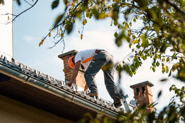 Best Commercial Roofing Services  in Bad Axe, MI