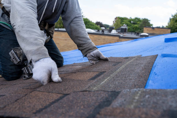 Best Metal Roofing Contractor  in Bad Axe, MI