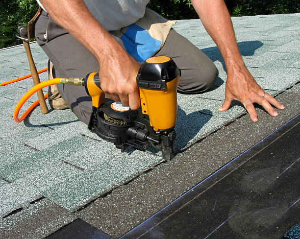Best Storm Damage Roof Repair  in Bad Axe, MI