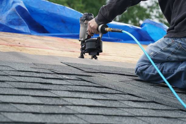 Best Roof Gutter Cleaning  in Bad Axe, MI