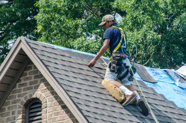 Best Roof Repair Services  in Bad Axe, MI